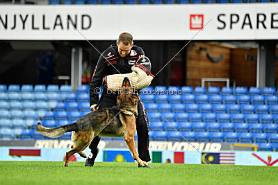 Woodstock vom Haus Pixner