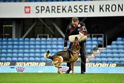 Woodstock vom Haus Pixner