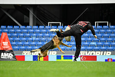 Woodstock vom Haus Pixner