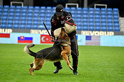 Woodstock vom Haus Pixner