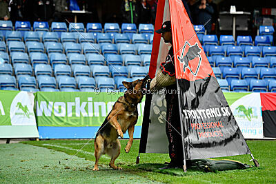 Woodstock vom Haus Pixner