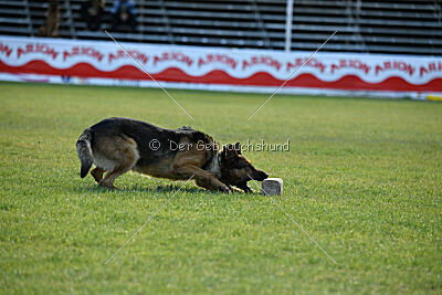 Woodstock vom Haus Pixner
