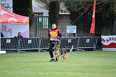 Woodstock vom Haus Pixner