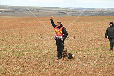 Woodstock vom Haus Pixner