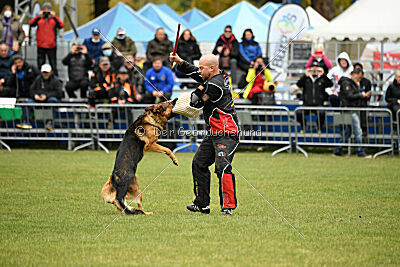 Woodstock vom Haus Pixner