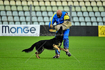 Woody van het Zuidpark