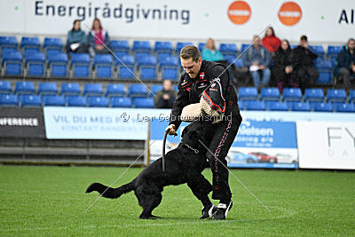 Woody z Ditcina dvora