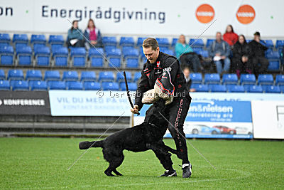 Woody z Ditcina dvora