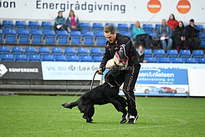 Woody z Ditcina dvora