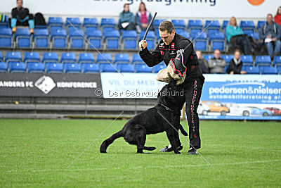 Woody z Ditcina dvora