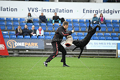 Woody z Ditcina dvora