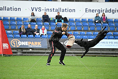 Woody z Ditcina dvora