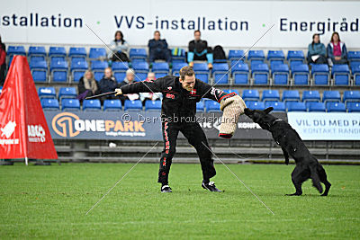 Woody z Ditcina dvora