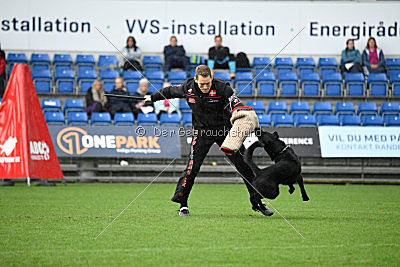 Woody z Ditcina dvora