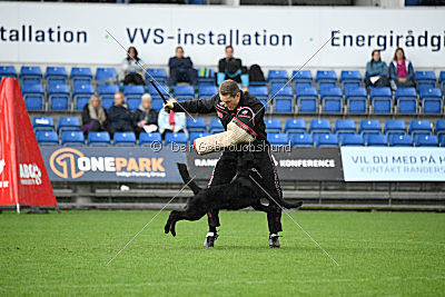 Woody z Ditcina dvora