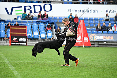 Woody z Ditcina dvora