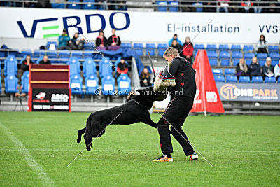 Woody z Ditcina dvora