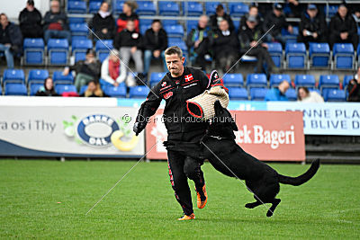 Woody z Ditcina dvora