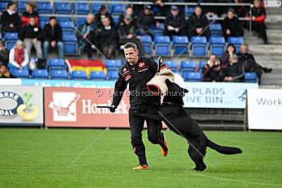 Woody z Ditcina dvora