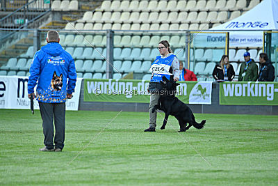 Woody z Ditcina dvora