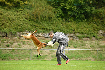 Wox de L'origine de Faucon Rouge