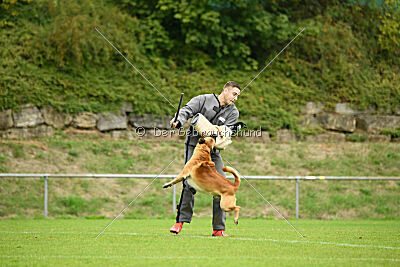 Wox de L'origine de Faucon Rouge