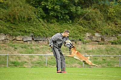 Wox de L'origine de Faucon Rouge