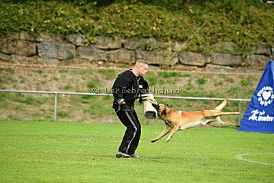 Wox de L'origine de Faucon Rouge