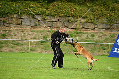Wox de L'origine de Faucon Rouge