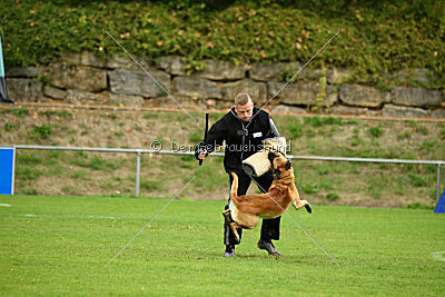 Wox de L'origine de Faucon Rouge