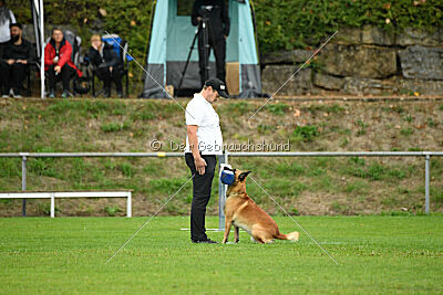 Wox de L'origine de Faucon Rouge