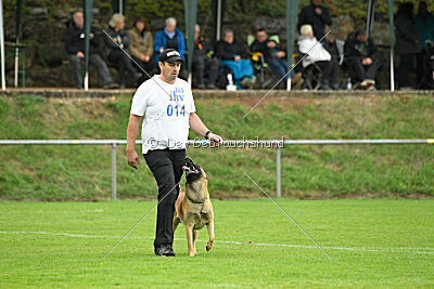 Wox de L'origine de Faucon Rouge