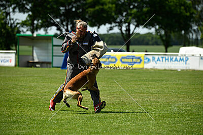 Wox de l'origine de faucon rouge