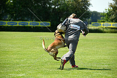 Wox de l'origine de faucon rouge