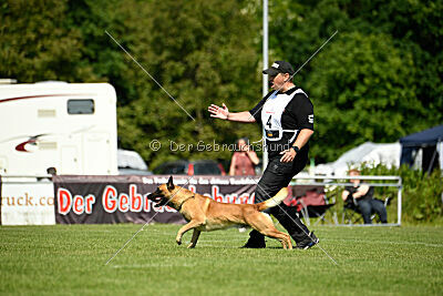 Wox de l'origine de faucon rouge