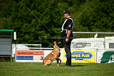 Wox de l'origine de faucon rouge