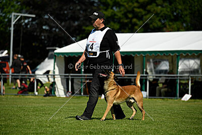 Wox de l'origine de faucon rouge