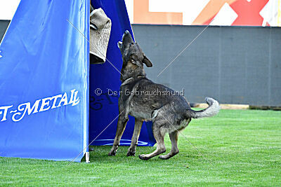 X-Mann von der Bildsäule