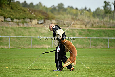 X'Treme X von der Steinteichmühle