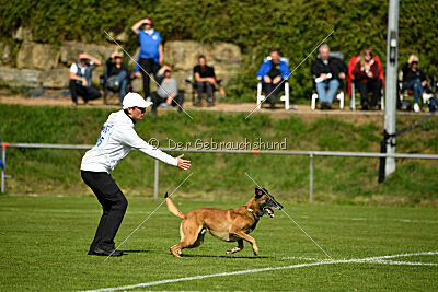 X'Treme X von der Steinteichmühle