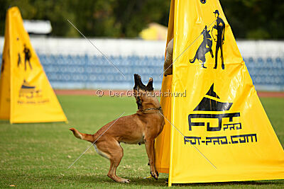 X'Yoda vom Further Moor