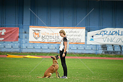 X'Yoda vom Further Moor