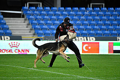 Xabu von der Germanenquelle