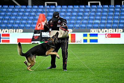 Xabu von der Germanenquelle