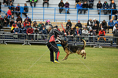 Xabu von der Germanenquelle