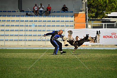 Xanuk vom grauen Star