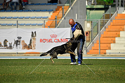 Xanuk vom grauen Star