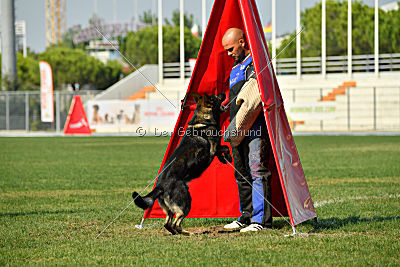 Xanuk vom grauen Star