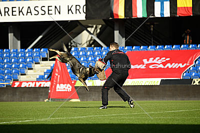 Xanuk vom grauen Star
