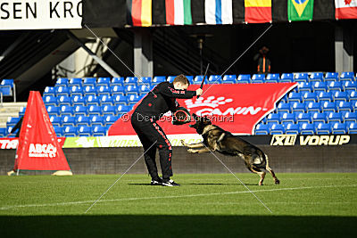 Xanuk vom grauen Star